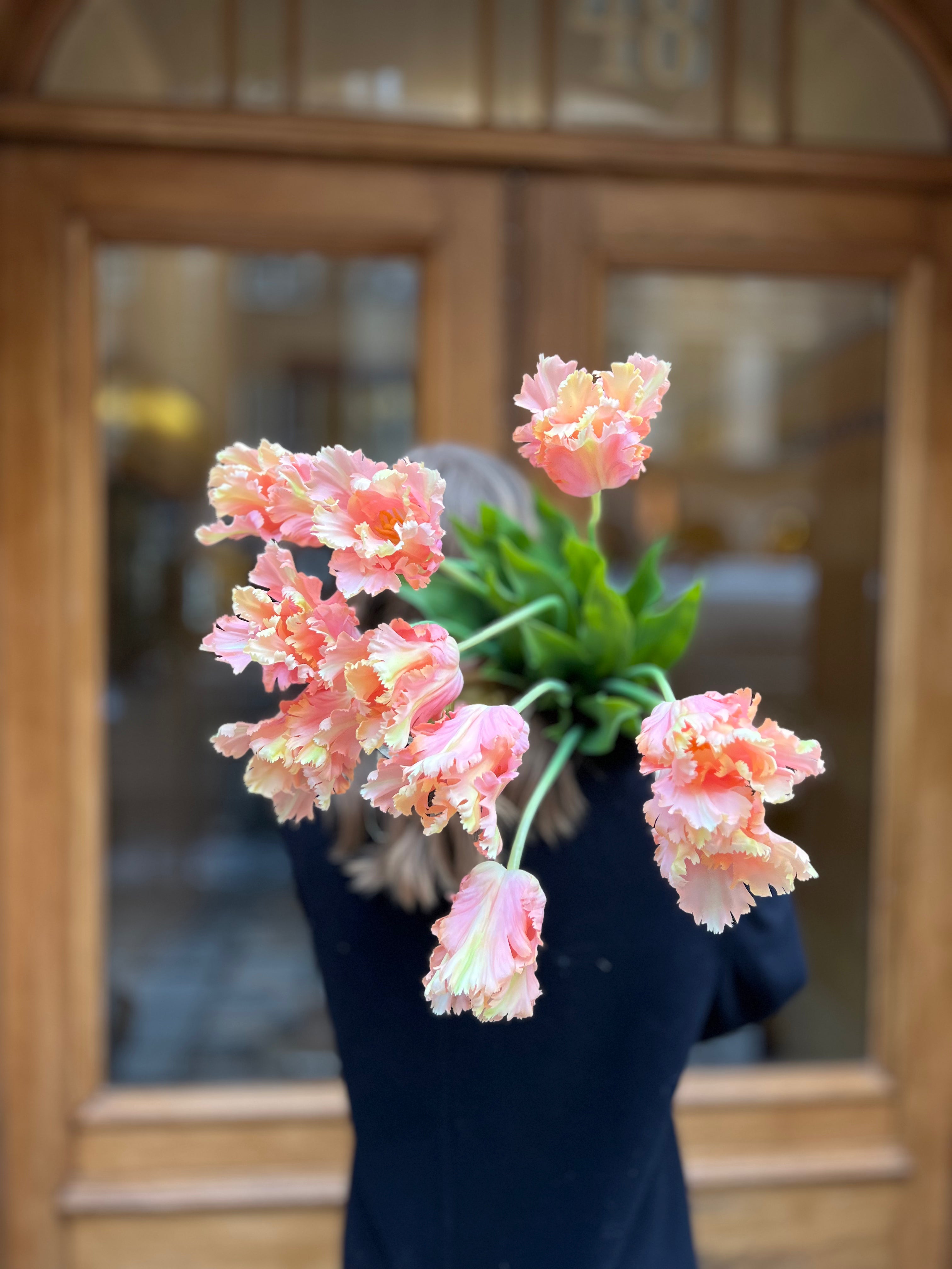 Parrot tulip 80 cm, peach