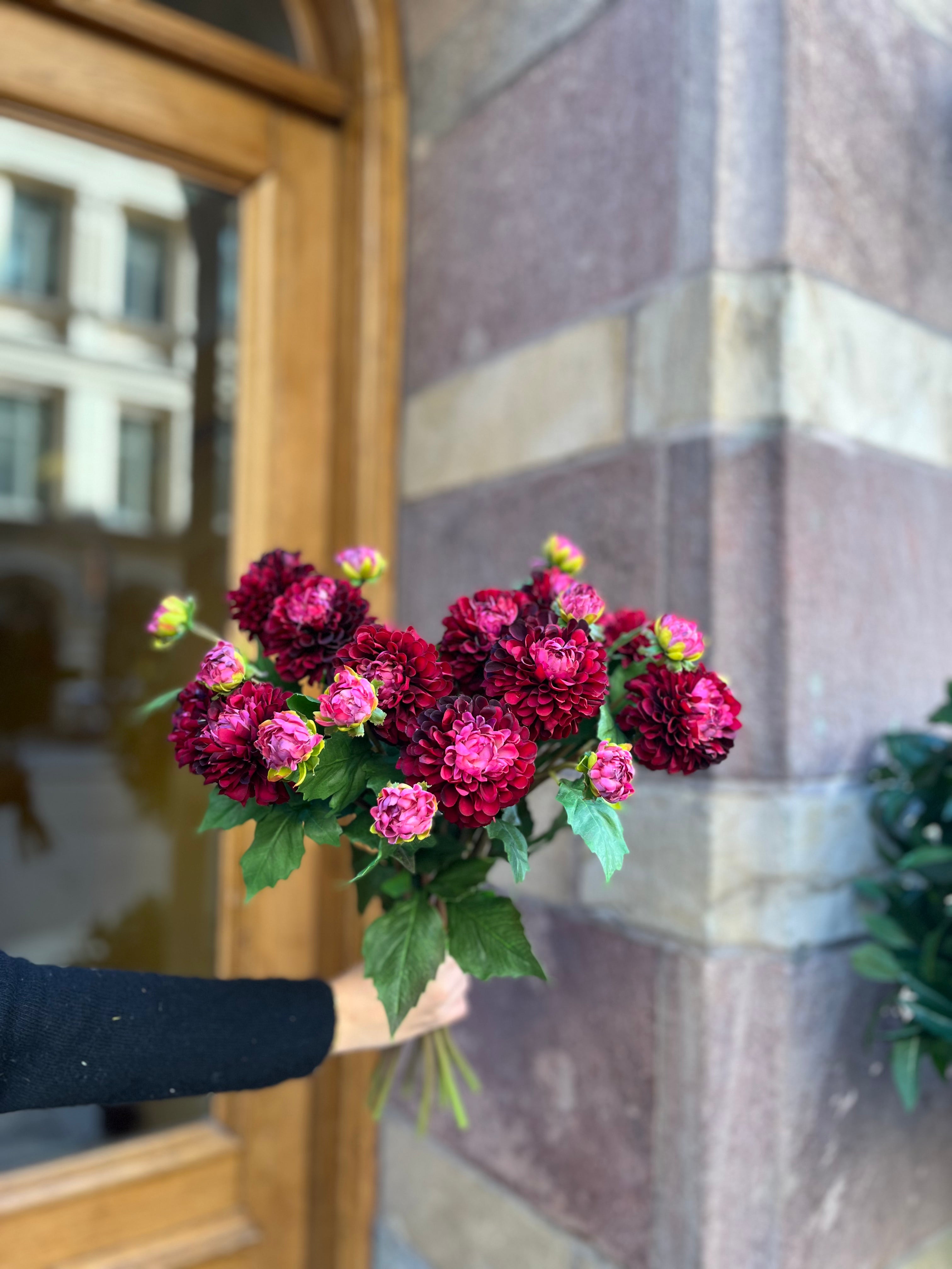 Dahlia 50 cm, Burgundy