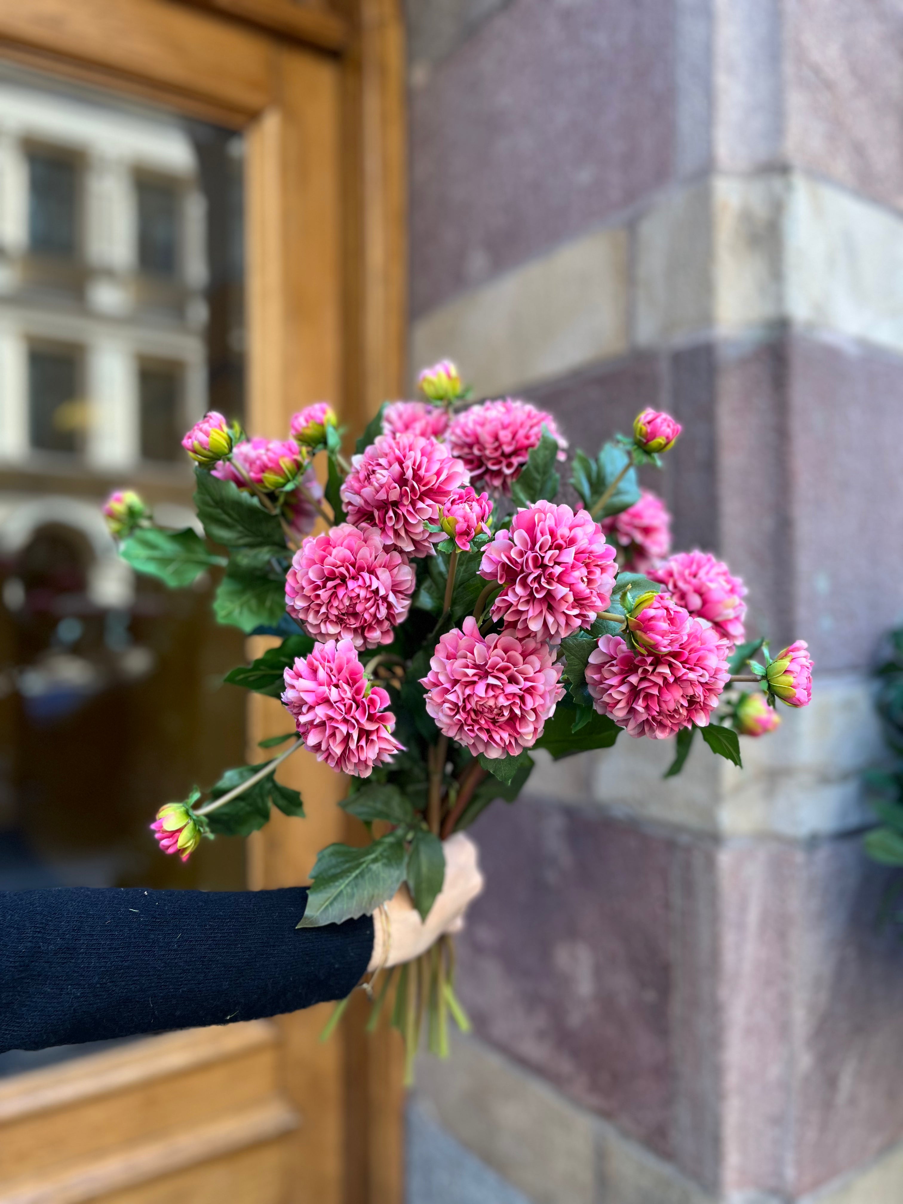 Dahlia 50 cm, Pink