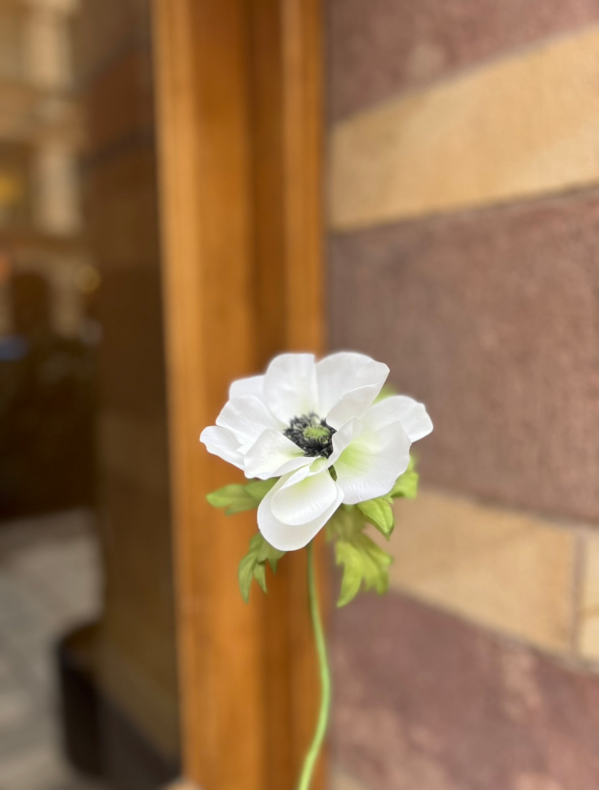 Anemone 40 cm, White