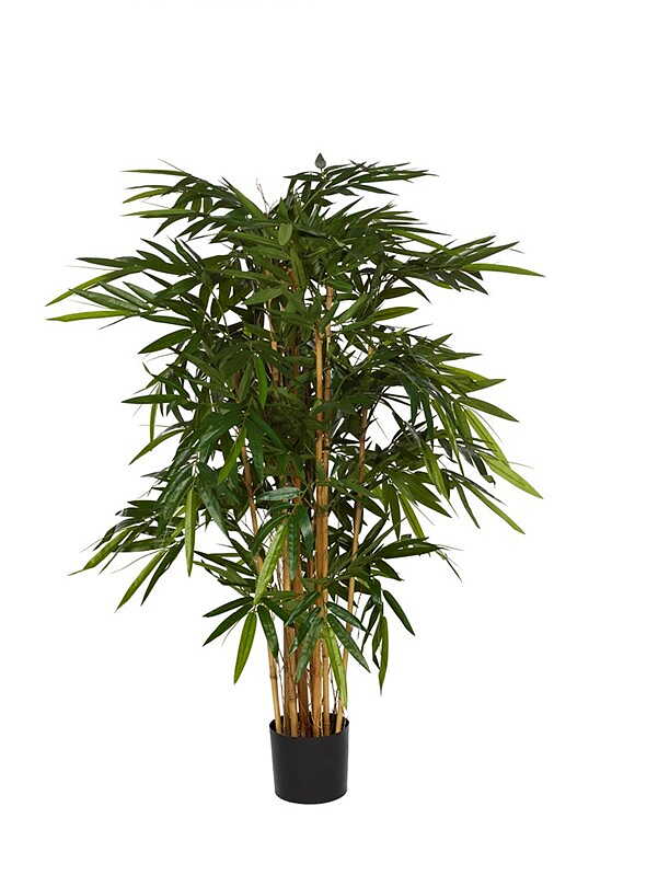 Bamboo 135 - 170 cm