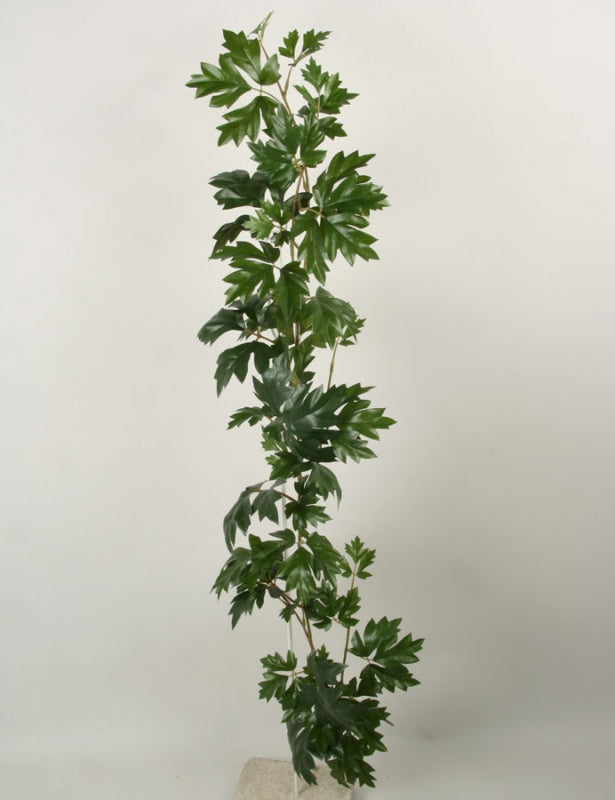 Cissus garland 114 cm