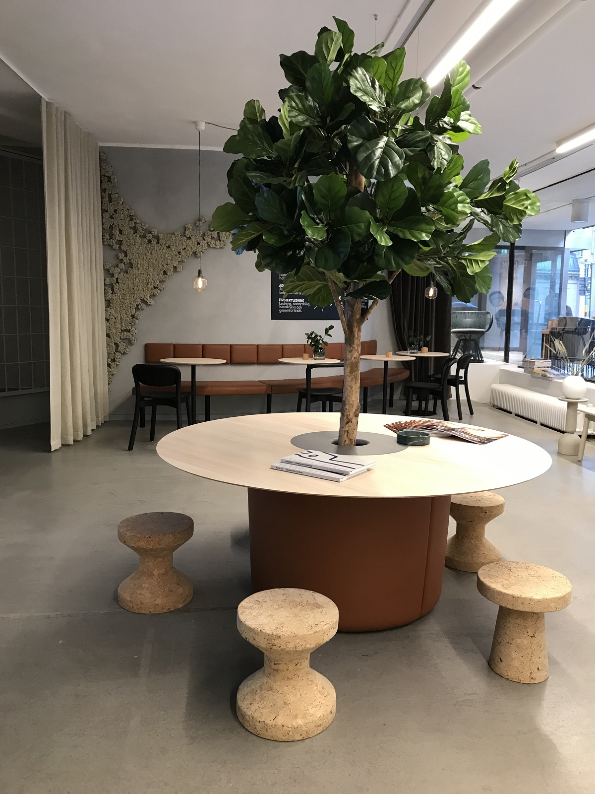 Stora Fiolfikus