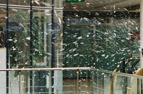 Snömaskiner