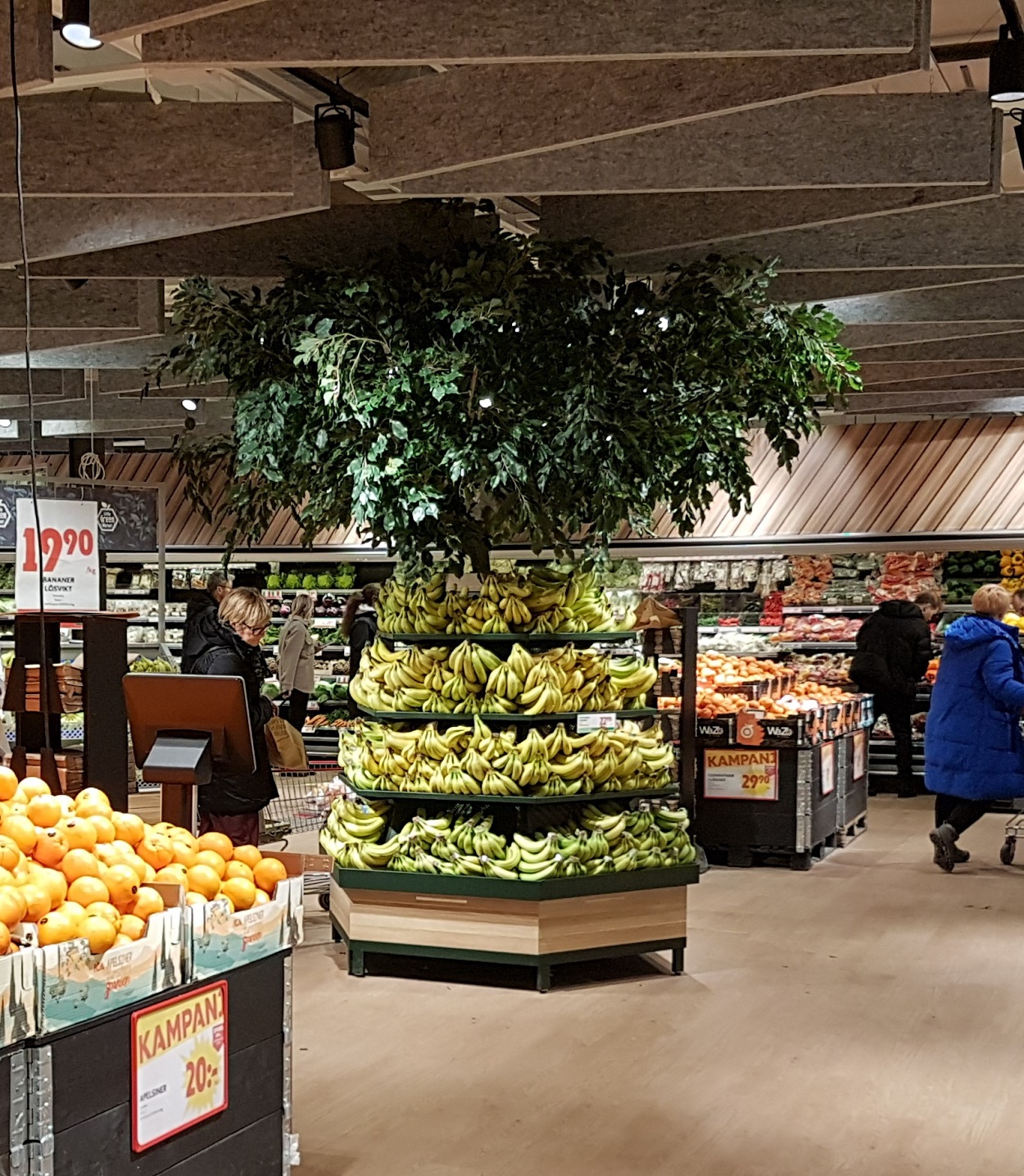 Stort Paraplyträd