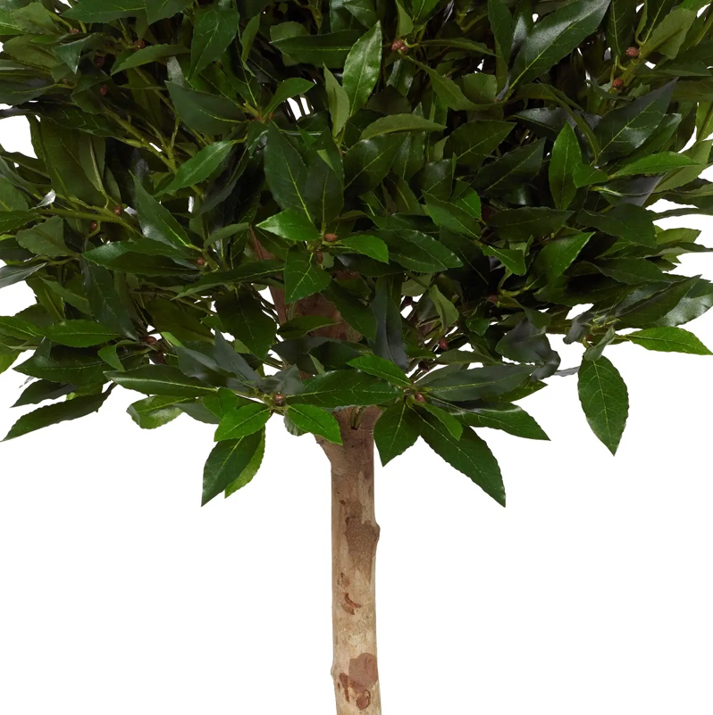 Lagerblad tre bollar