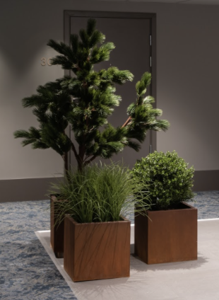 Serie Corten